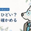 パートナーエージェントは本当にひどいのかを利用者の声から確かめる